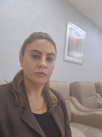 İki AYB üzvü yeni ədəbi cərəyan yaratdığını elan etdi
